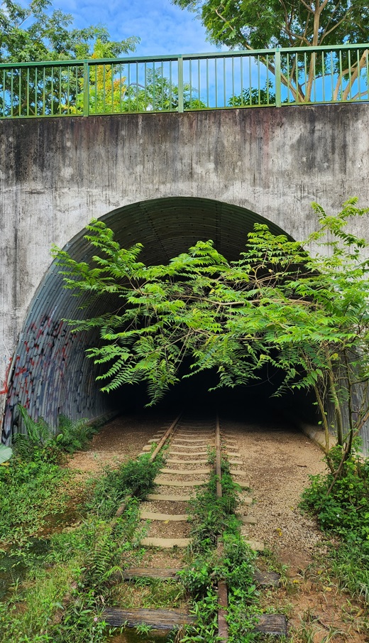 Tunnel from afar