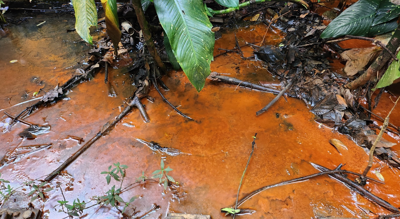 Muddy stream that looks like teh tarik
