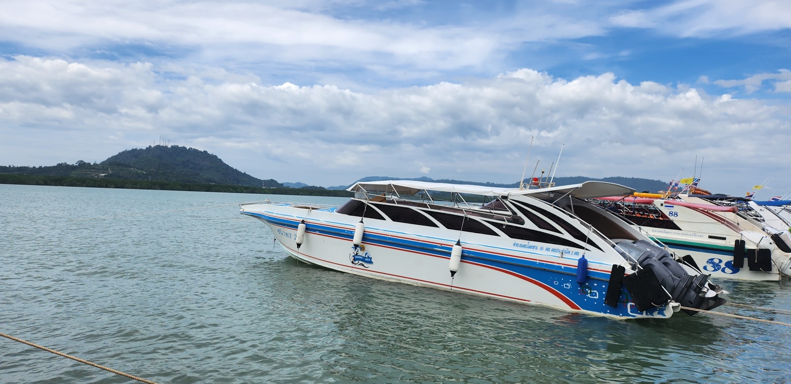 lined up boats