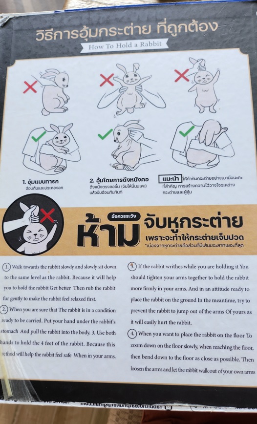 Guide to hold rabbits