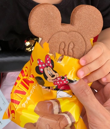 Disneyland icecream mickey mouse