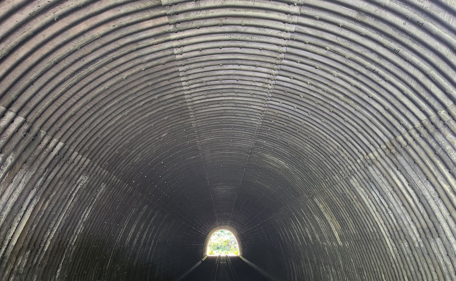 Tunnel in Clementi forest