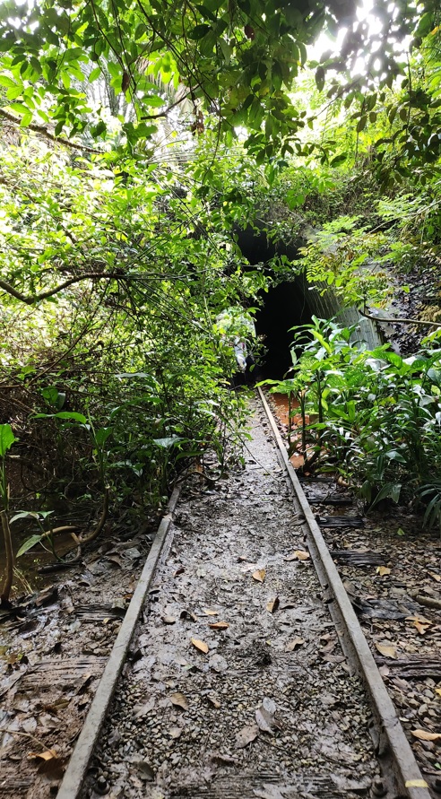 Track in front of tunnel