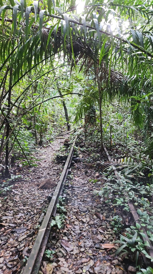 Remains of railway track