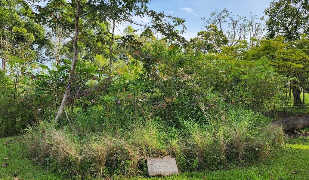 nature playgarden at pasir ris