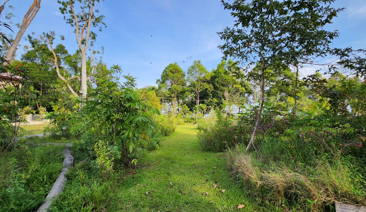 nature playgarden at pasir ris