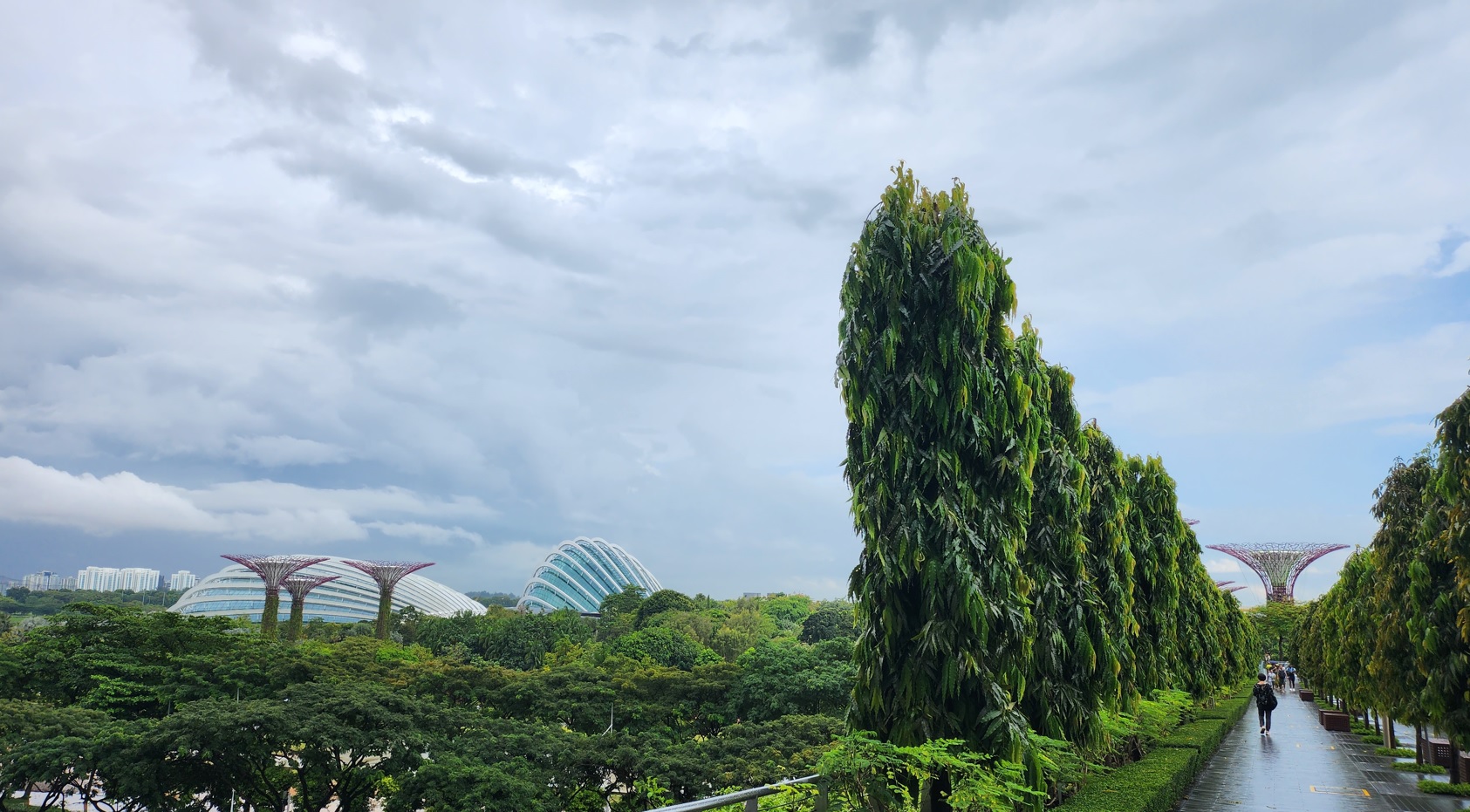View of Gardens by the Bay